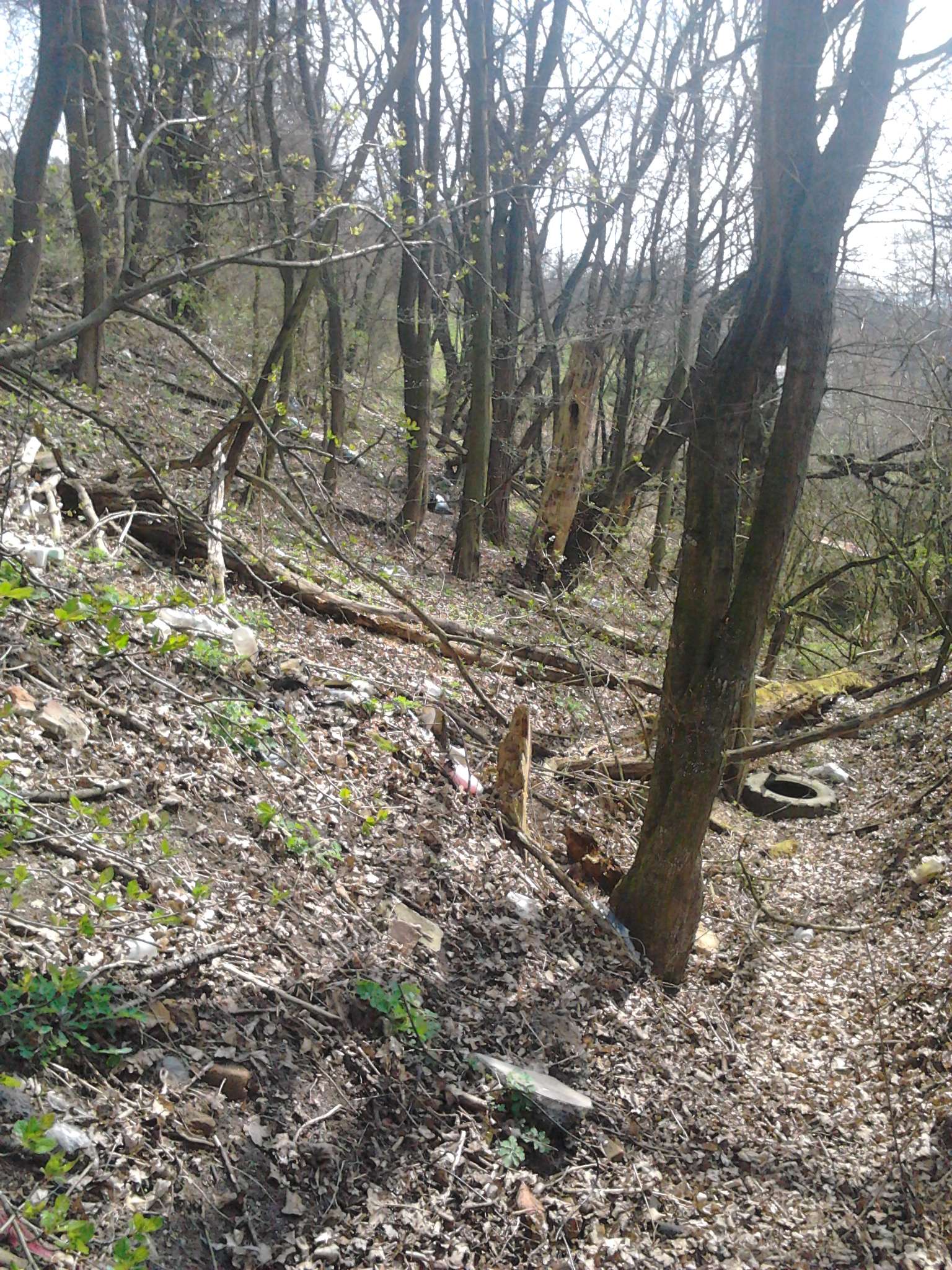 2015-04-11 11.16.30 (1)